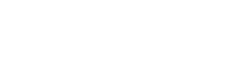 Noir Velvet. Logo